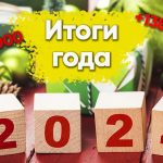 Итоги 2024 года: какие изменения произошли у меня и на канале за этот год?