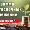 Программа долгосрочных сбережений (ПДС): что это за инициатива и стоит ли в ней участвовать?
