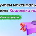 Как достичь максимального уровня Кошелька на WB: пошаговое руководство.