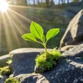 Как превратить скрытые таланты в реальные достижения и жизненные цели