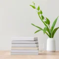 Книги-бестселлеры о психосоматике и стрессоустойчивости в контексте биохакинга