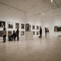 Путеводитель по самым популярным образовательным трекам для начинающих фотохудожников