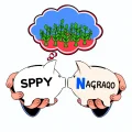 Сравнение популярных индексных фондов SPY и NASDAQ для начинающих