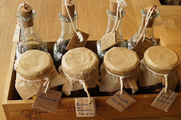 Как правильно собирать и сушить чагу