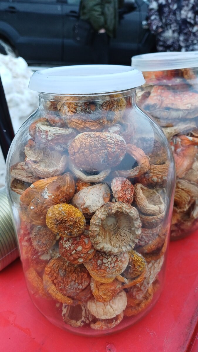 Мухомор красный (Amanita muscaria) - фото, описание