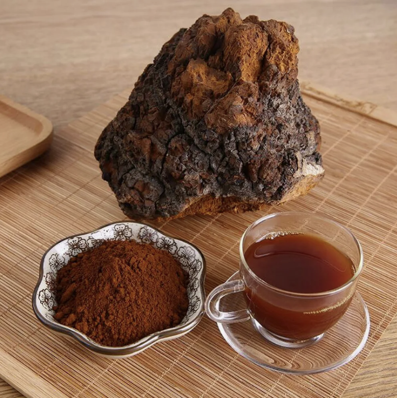 Как правильно собирать и сушить чагу