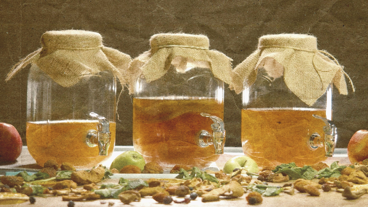 Чайный гриб