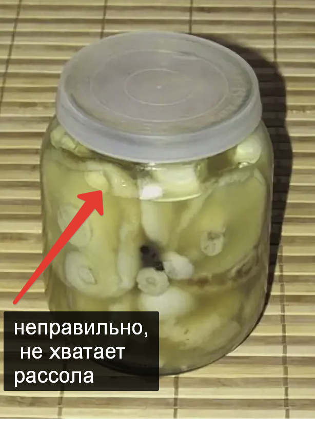 Жарить, варить, солить, сушить... Как и где еще применяют грибы