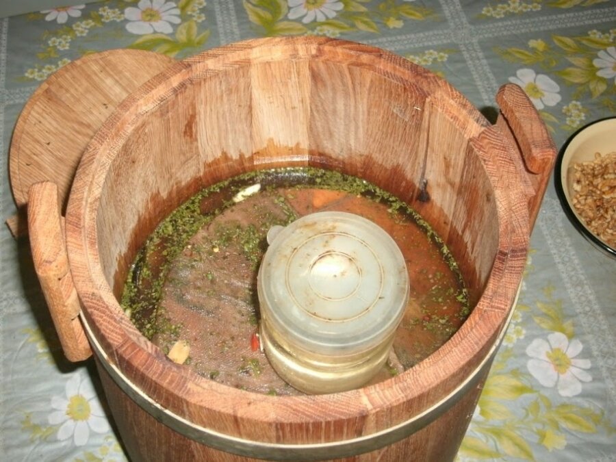 Жарить, варить, солить, сушить... Как и где еще применяют грибы