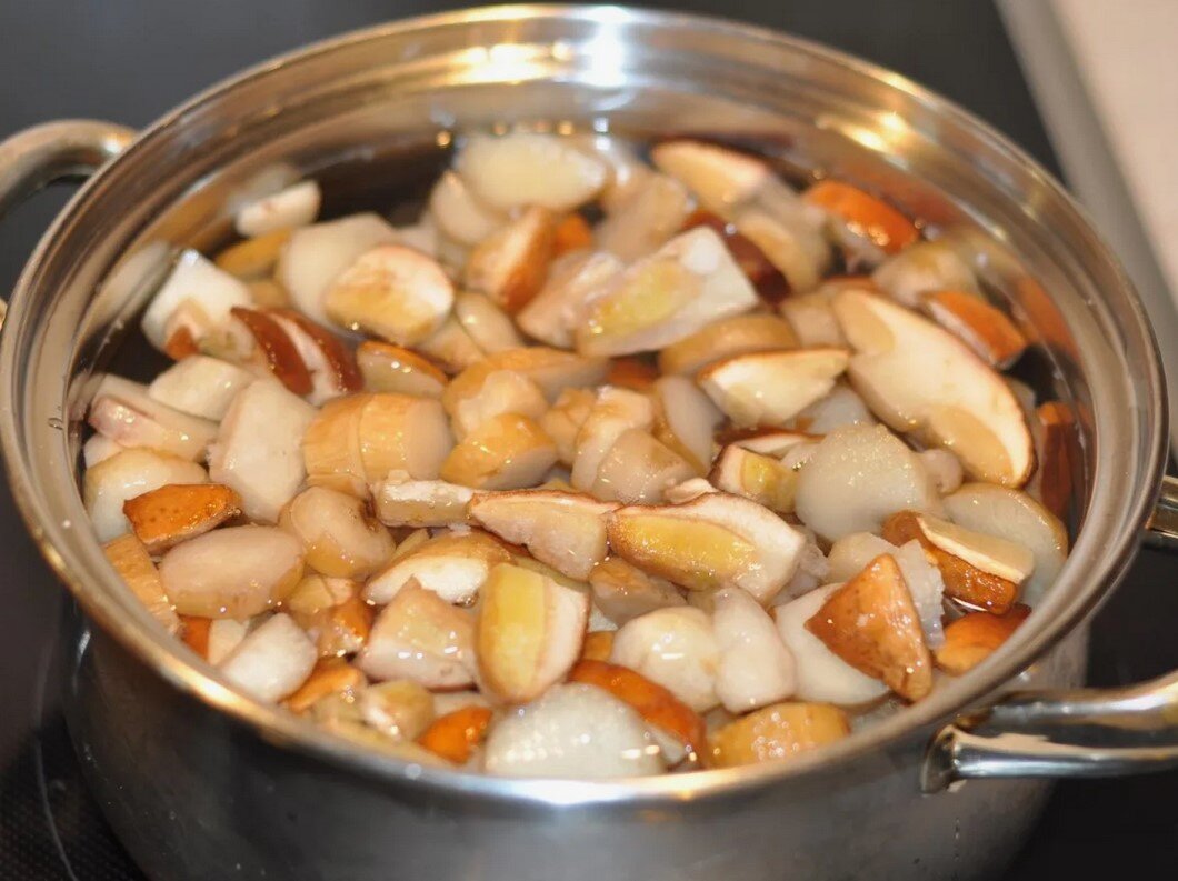 Самые распространенные грибы в мире – самые невкусные?