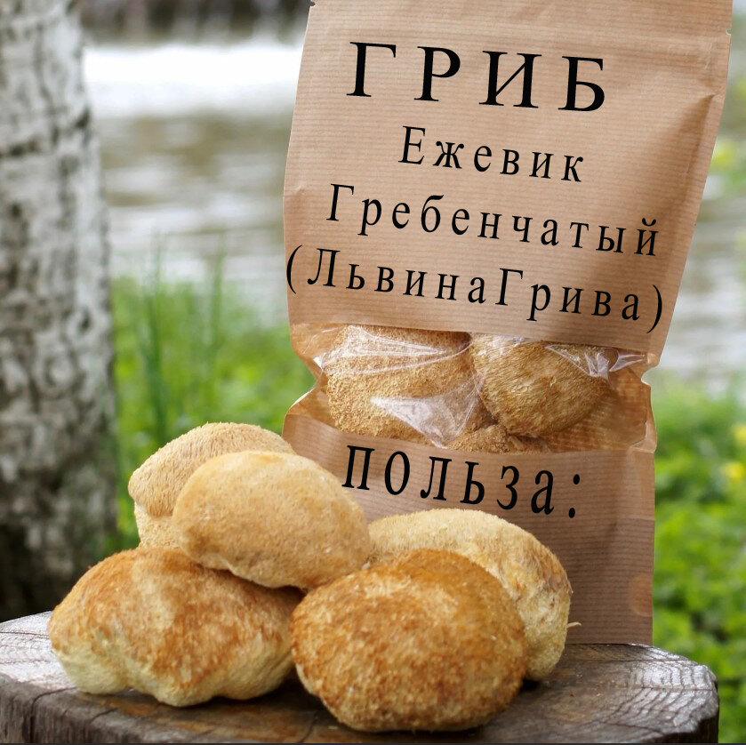 Ежевик Гребенчатый (Львиная Грива) ПОЛЕЗНЫЕ свойства: