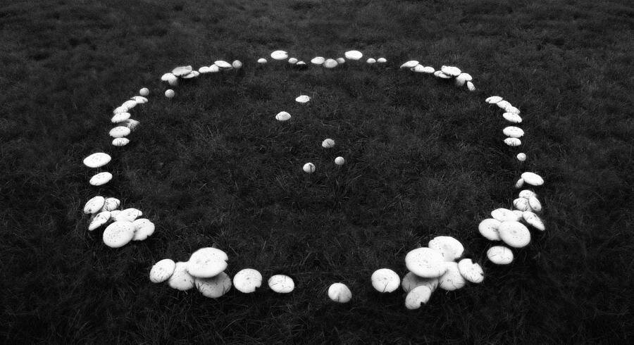 Что такое ведьмины круги?