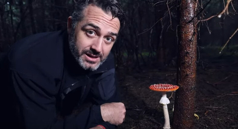 Где найти Красный Мухомор  Amanita Muscaria 