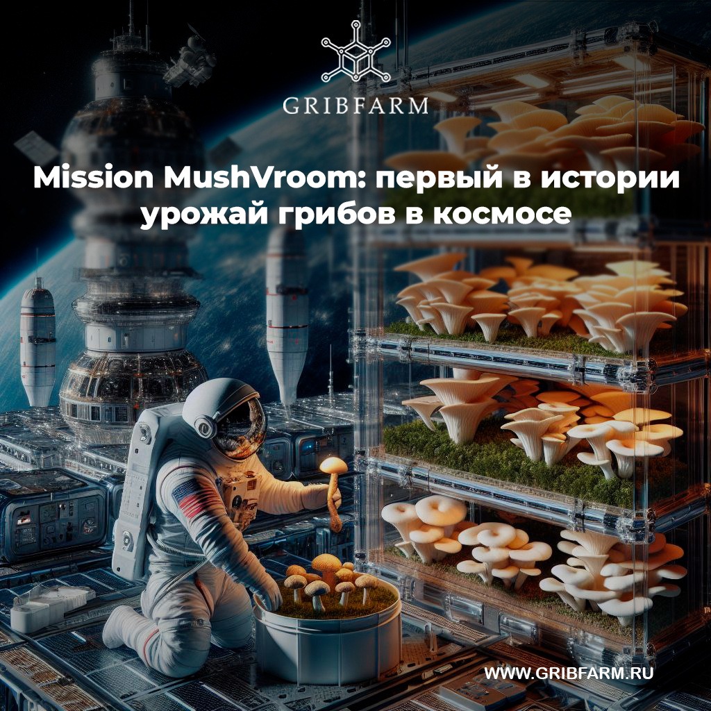 Mission MushVroom — первый урожай грибов в космосе