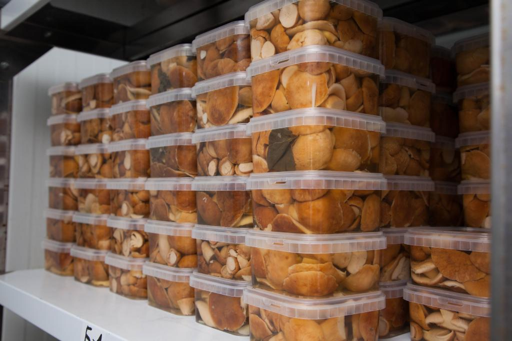 Грибы и дача: важные факты из мира грибов