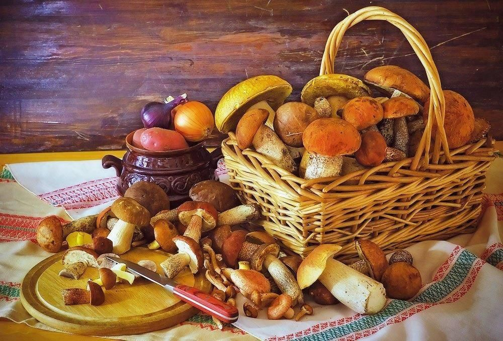 Грибы в народной культуре и повседневной жизни