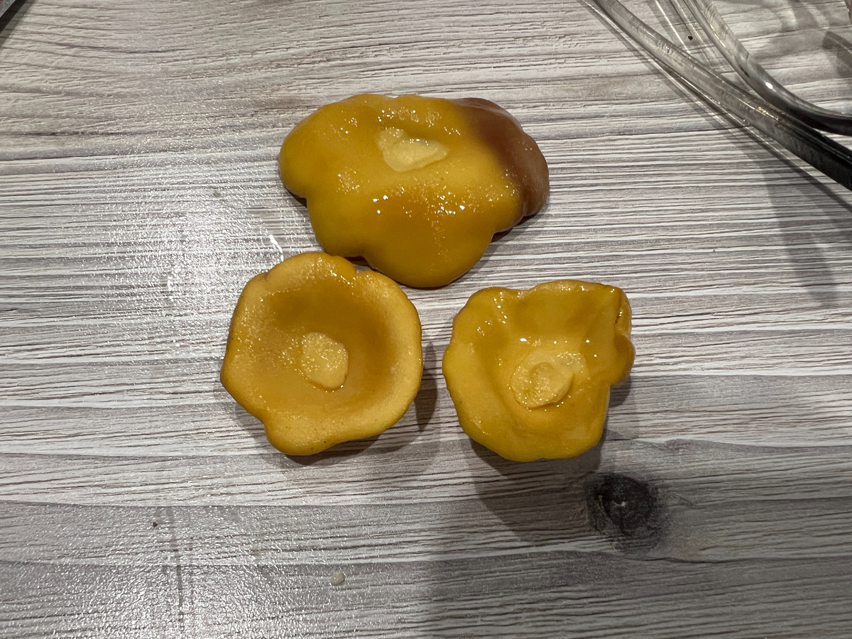 Самые распространенные грибы в мире – самые невкусные?