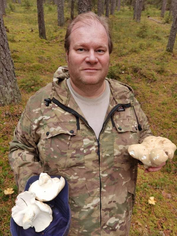 Съедобный или ядовитый гриб? Особенности грибной культуры в разных странах