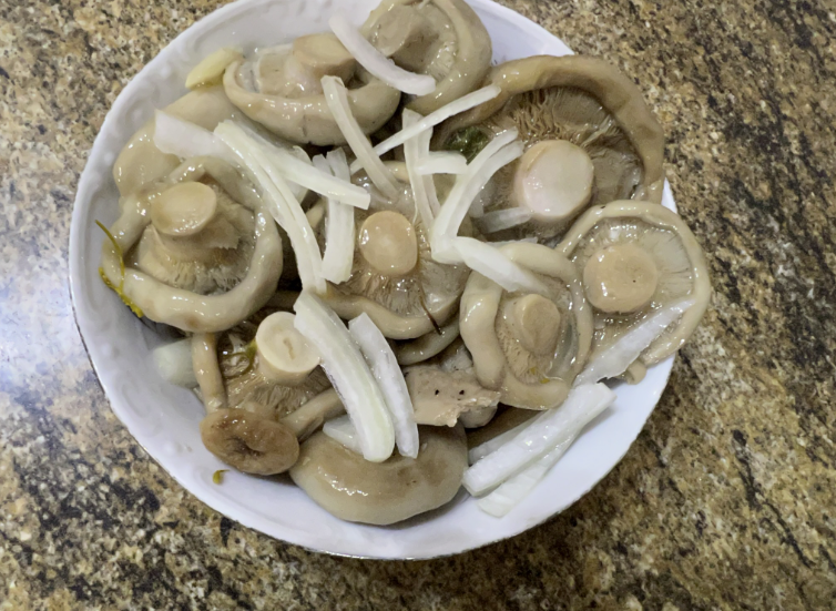 Как правильно собирать и сушить чагу