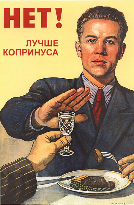 Один белый, другой серый - два лица одного рода Копринус