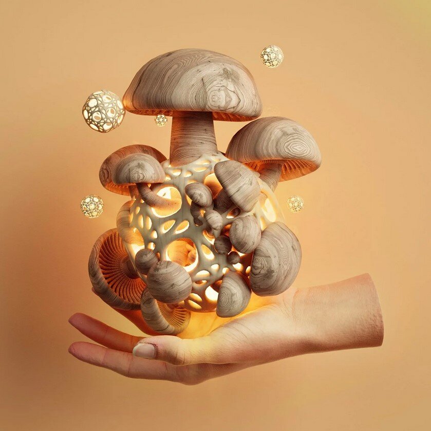 Грибы в космосе – зачем это нужно?