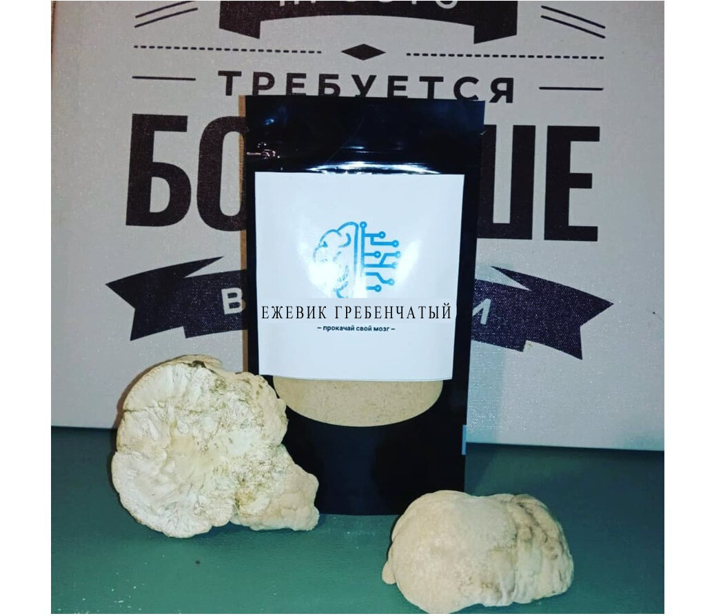 Ежевик гребенчатый (Львиная Грива)