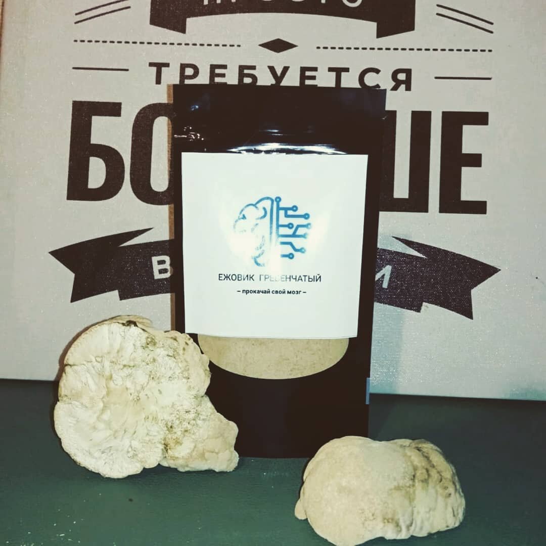 Ежевик гребенчатый (Львиная Грива)