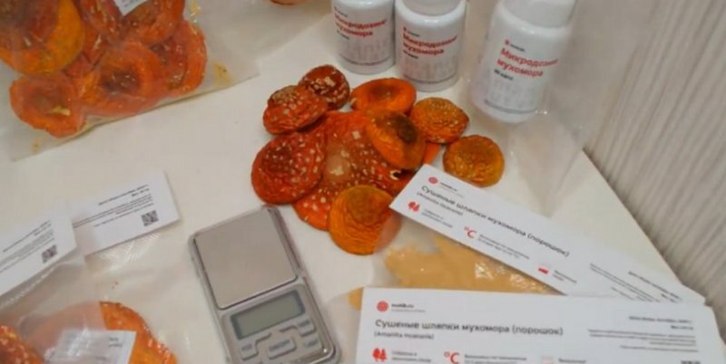 Как сушить мухомор: самый простой способ сохранить гриб