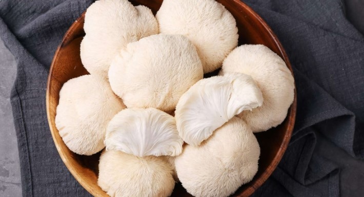 Ежовик гребенчатый — натуральный источник здоровья и гармонии