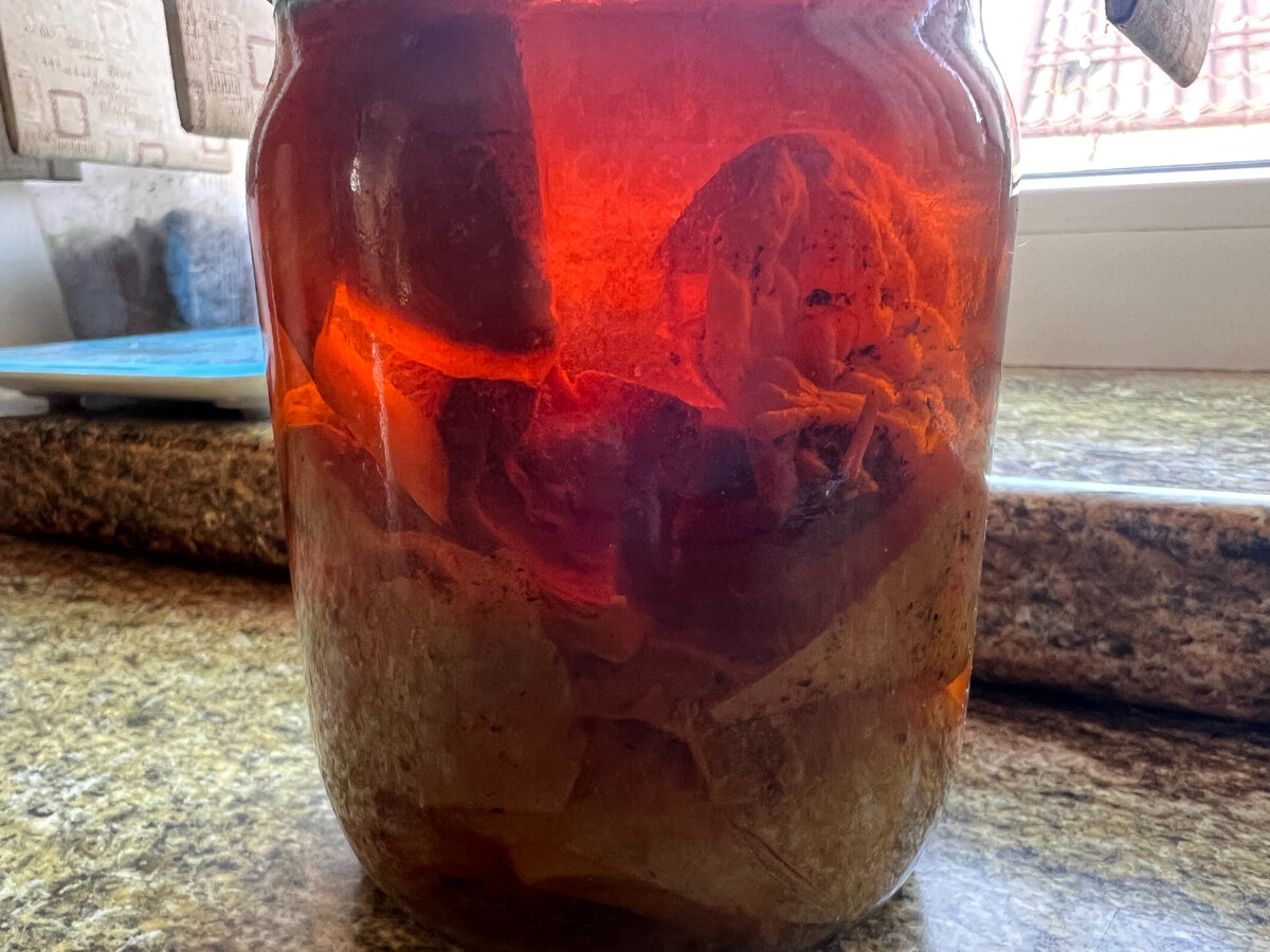 Как правильно собирать и сушить чагу