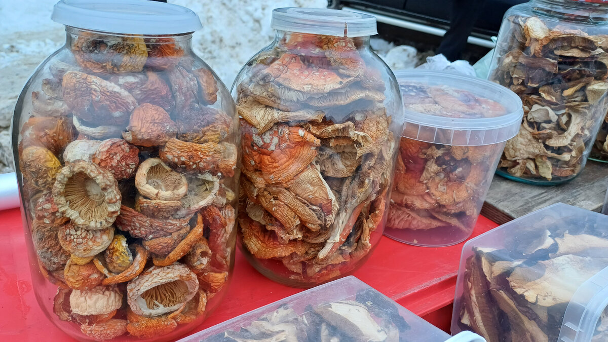 Мухомор красный (Amanita muscaria) - фото, описание